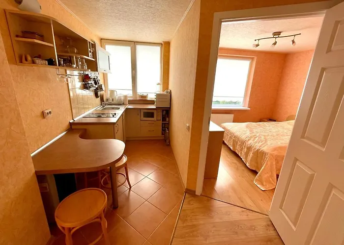 Vanagupes Apartament Linas Паланга