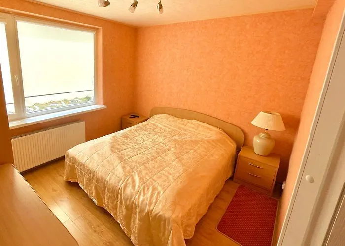Vanagupes Apartament Linas * Паланга